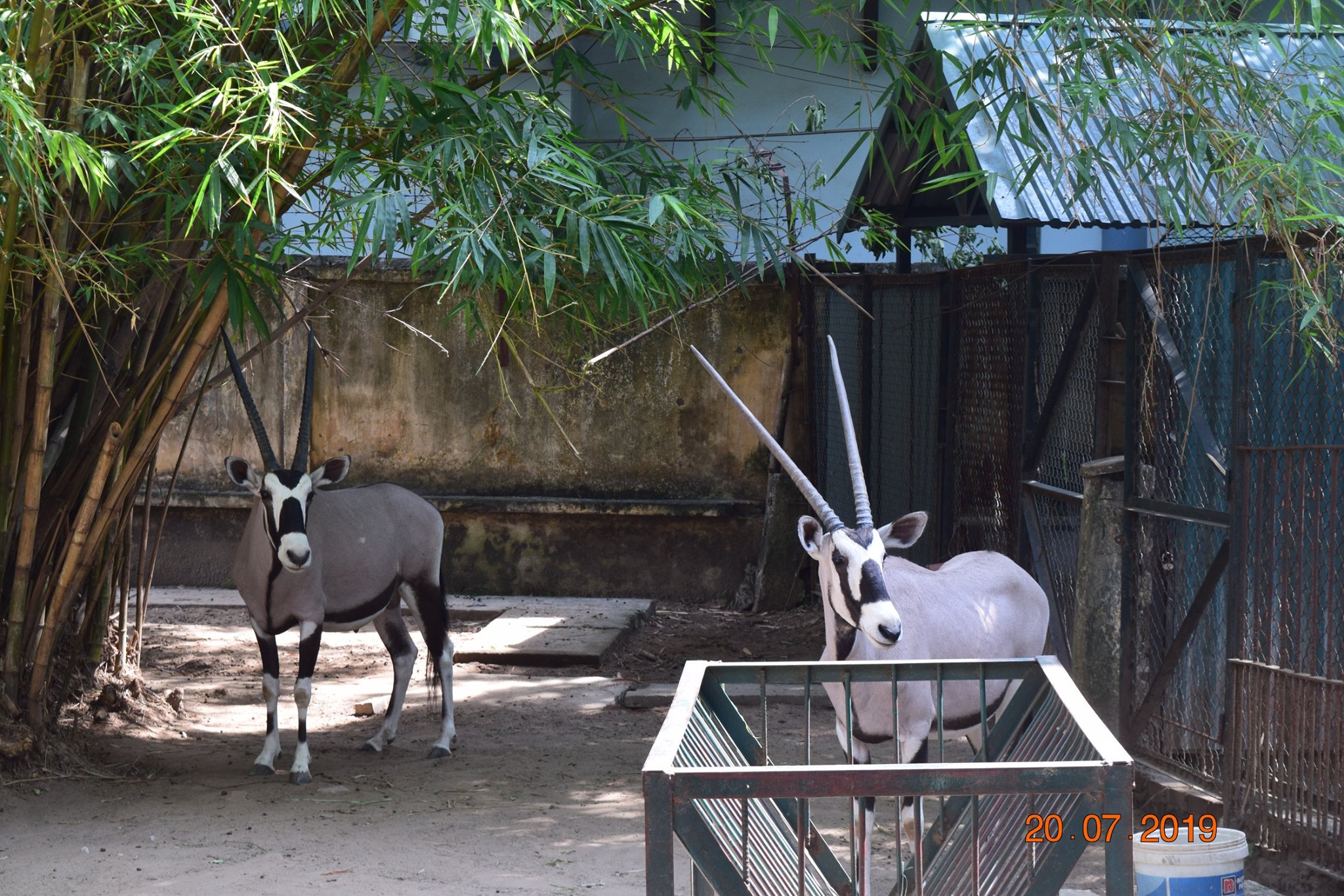 Sở thú ở công viên Thủ Lệ. Ảnh: Hanoi Zoo - Công viên Thủ Lệ - Vườn thú Hà Nội