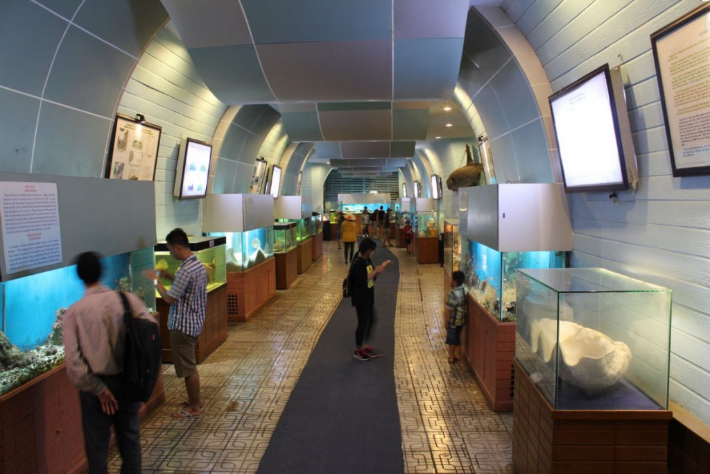 Viện Hải dương Nha Trang ivivu 10