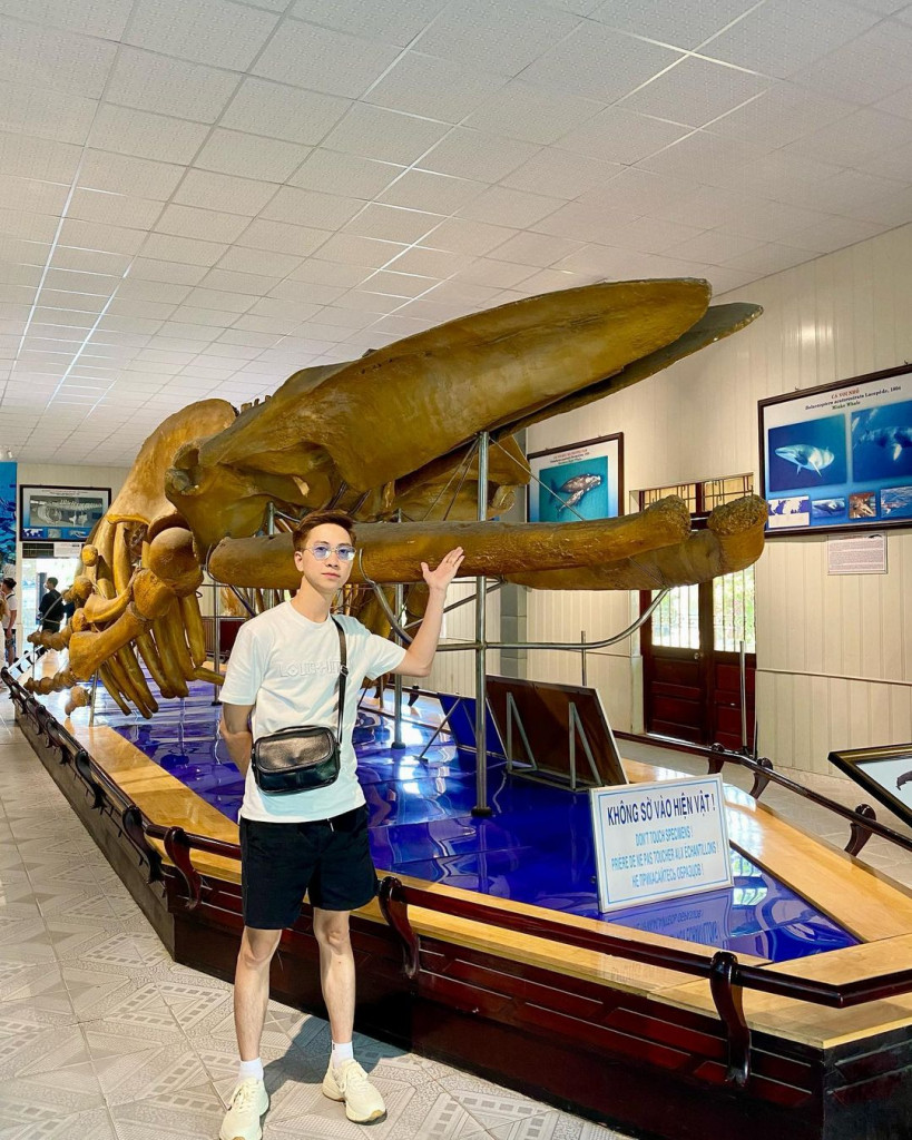 Bộ xương cá voi được trưng bày
