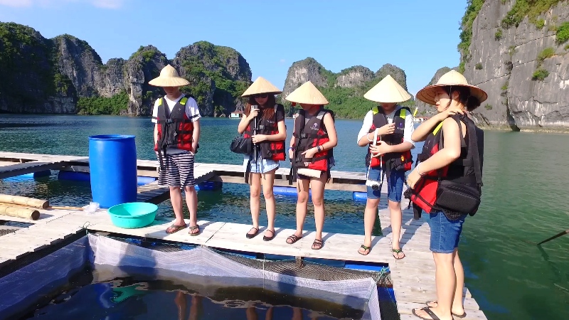 Du khách tham quan nhà bè nuôi trồng thủy sản. Ảnh: Báo Quảng Ninh.