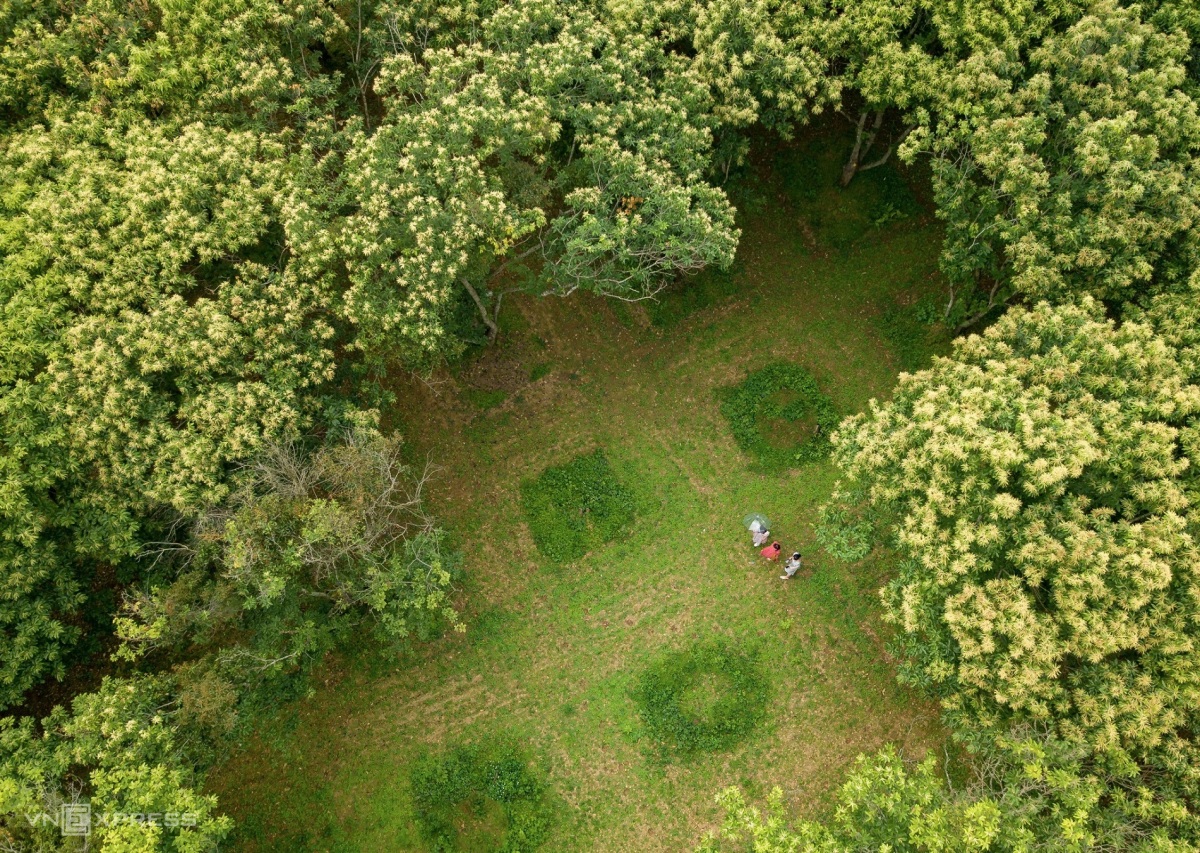 Vườn hạt dẻ ở Trùng Khánh, Cao Bằng nhìn từ trên cao. Ảnh: Mác Kham/vnexpress.