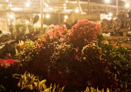 Chợ hoa đêm. Ảnh: haiphong.gov.vn