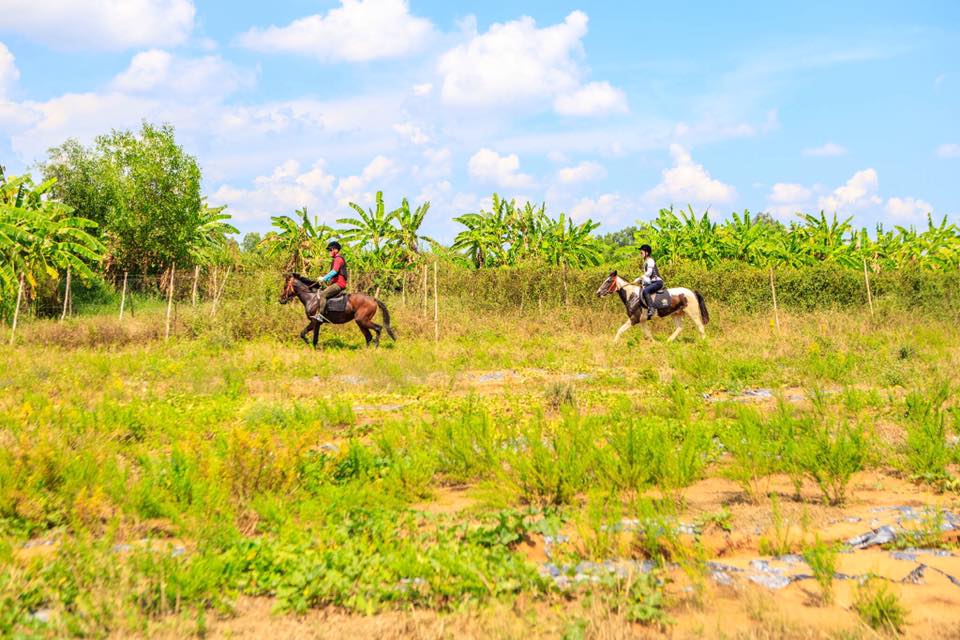 Ảnh: Fb Saigon Farm CLB Cưỡi ngựa - Trải nghiệm nông trại.