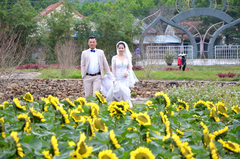 Chụp ảnh cưới ở thiên đường hoa. Ảnh: Báo Quảng Ninh