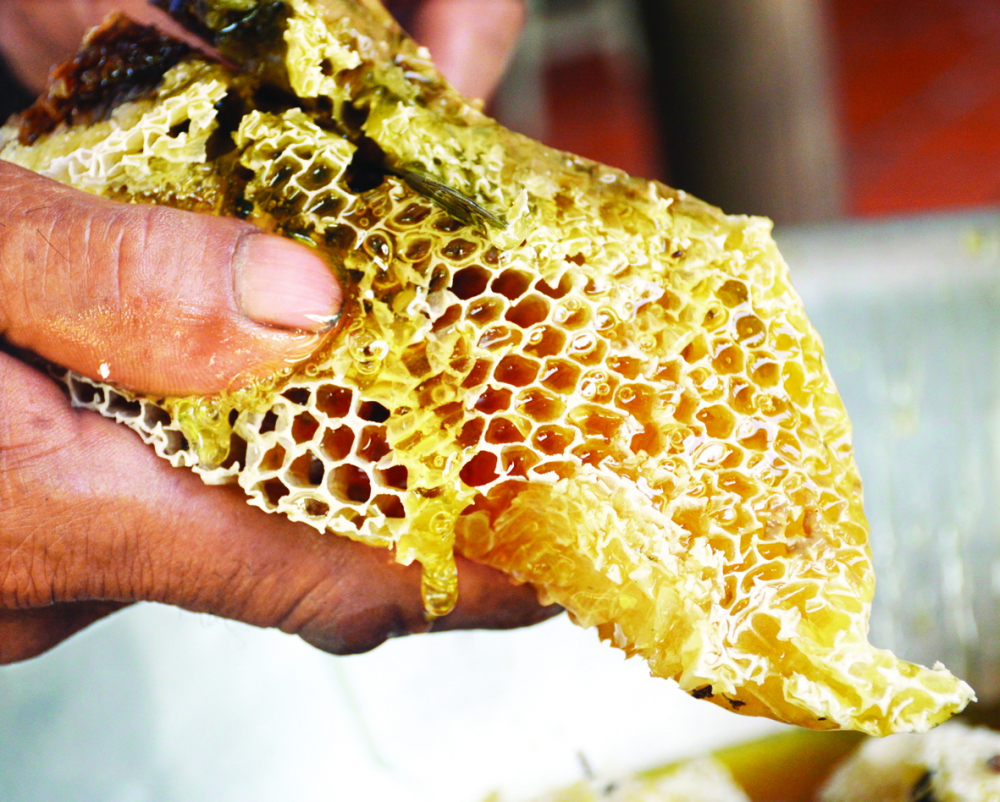 Mật ong rừng U Minh thơm mùi hoa tràm. Ảnh minh họa: phunuonline.