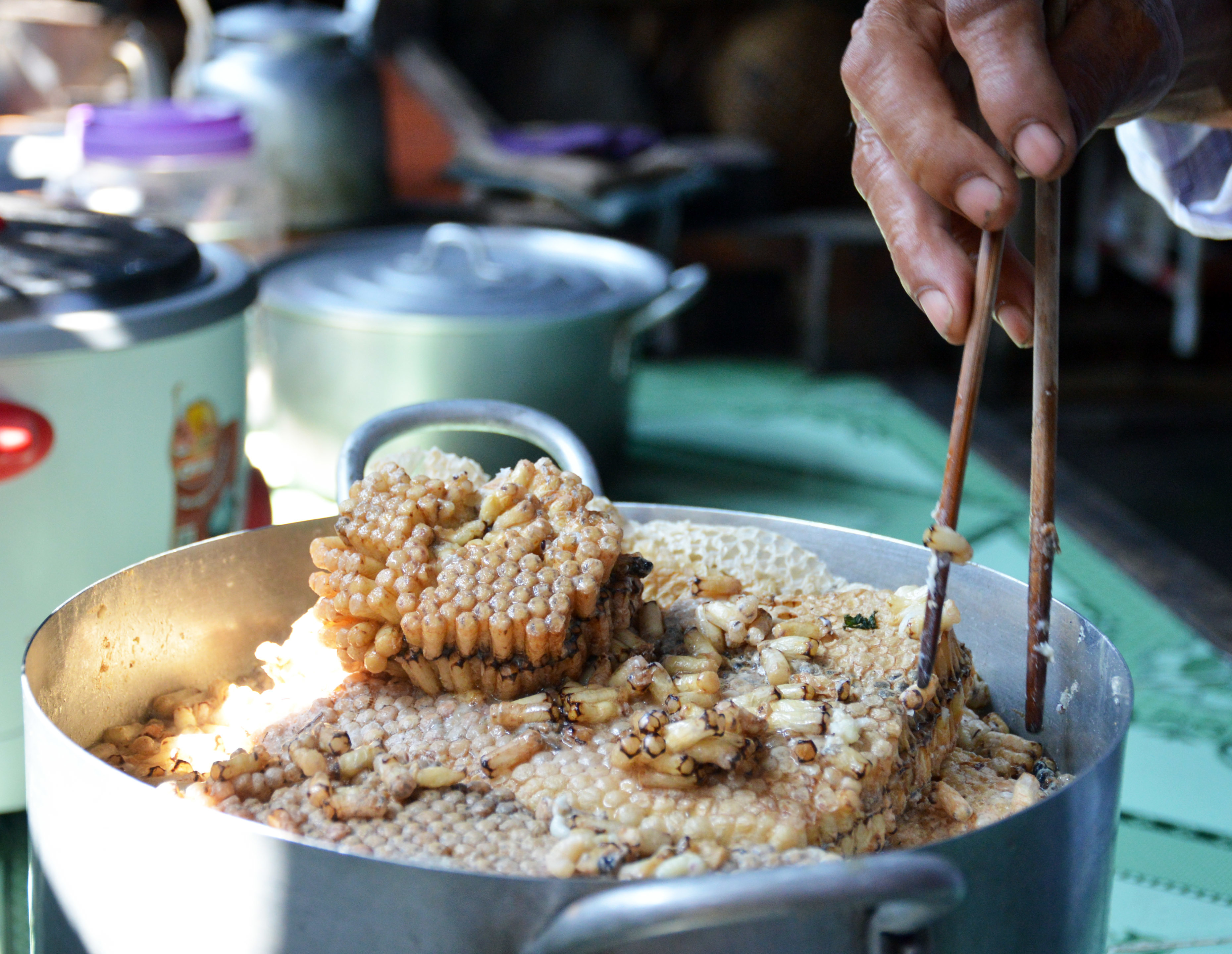 Luộc nhộng ong bằng nước sôi trước khi chế biến. Ảnh: vietnamnet.
